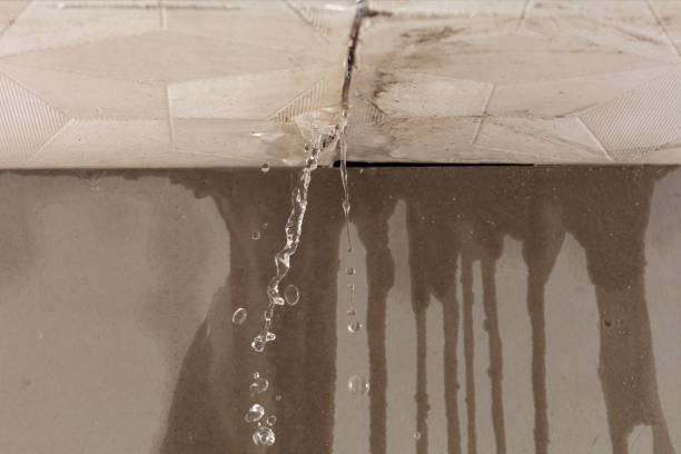 Professional Water Extraction technician working in Olema, CA
